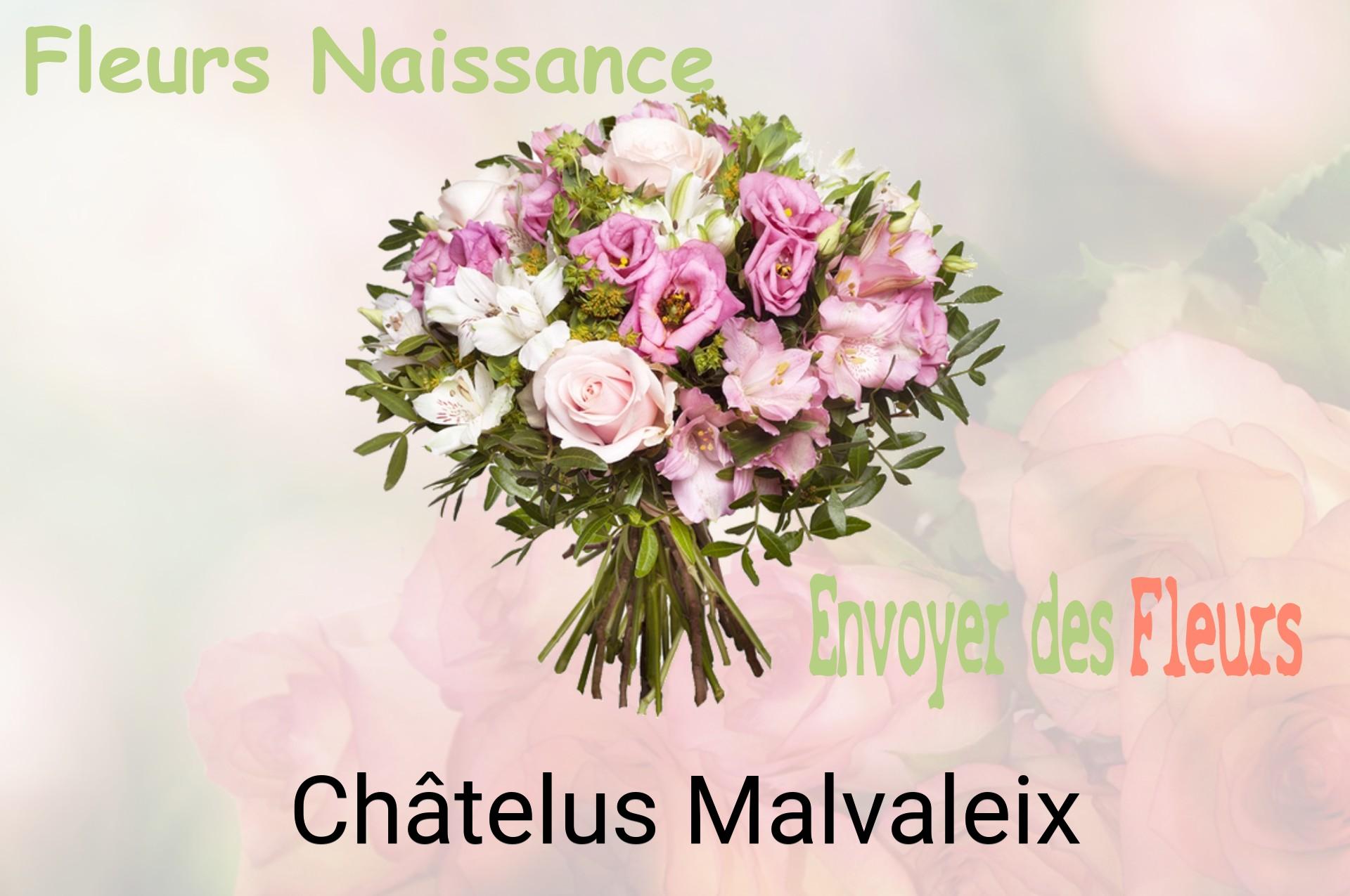 Bouquet de fleurs de naissance livré à Châtelus-Malvaleix