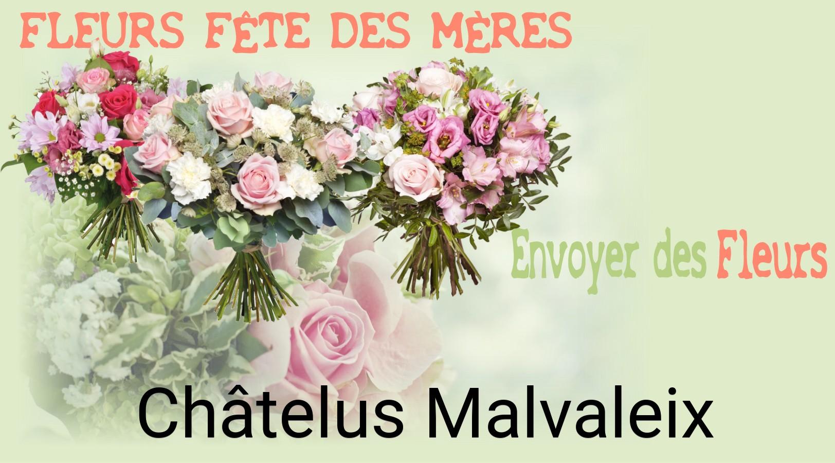 Bouquet de Fête des Mères livré à Châtelus-Malvaleix
